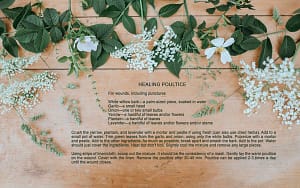 Healing "Healing Poultice" from Of Gifts and the Goddess